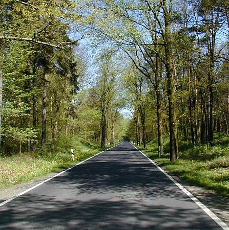 allee bei friedersdorf.jpg